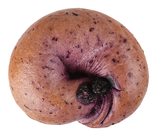 ブルーベリークリームチーズ