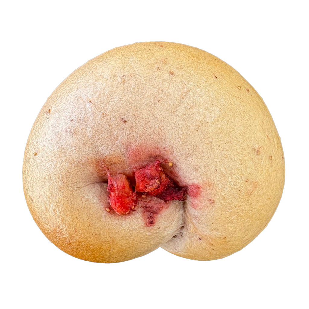 【NEW】苺クリーム